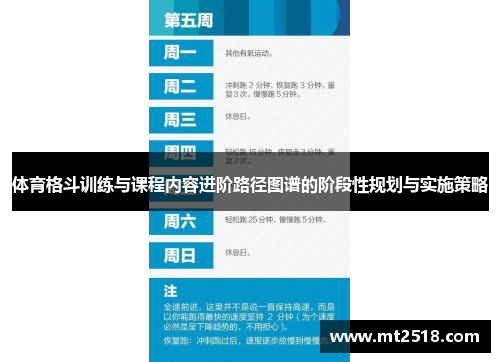 体育格斗训练与课程内容进阶路径图谱的阶段性规划与实施策略